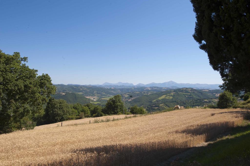 Agriturismo Tenuta Di Biscina Eksteriør bilde