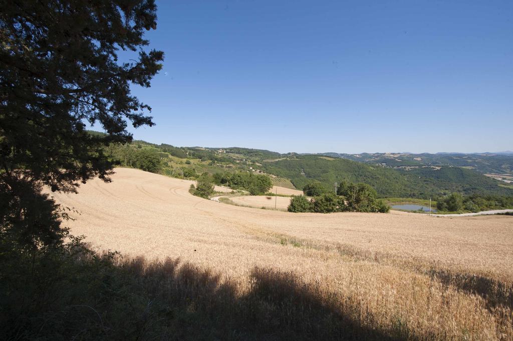 Agriturismo Tenuta Di Biscina Eksteriør bilde