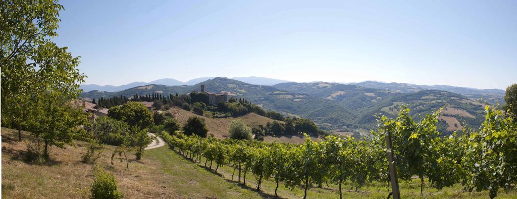 Agriturismo Tenuta Di Biscina Eksteriør bilde