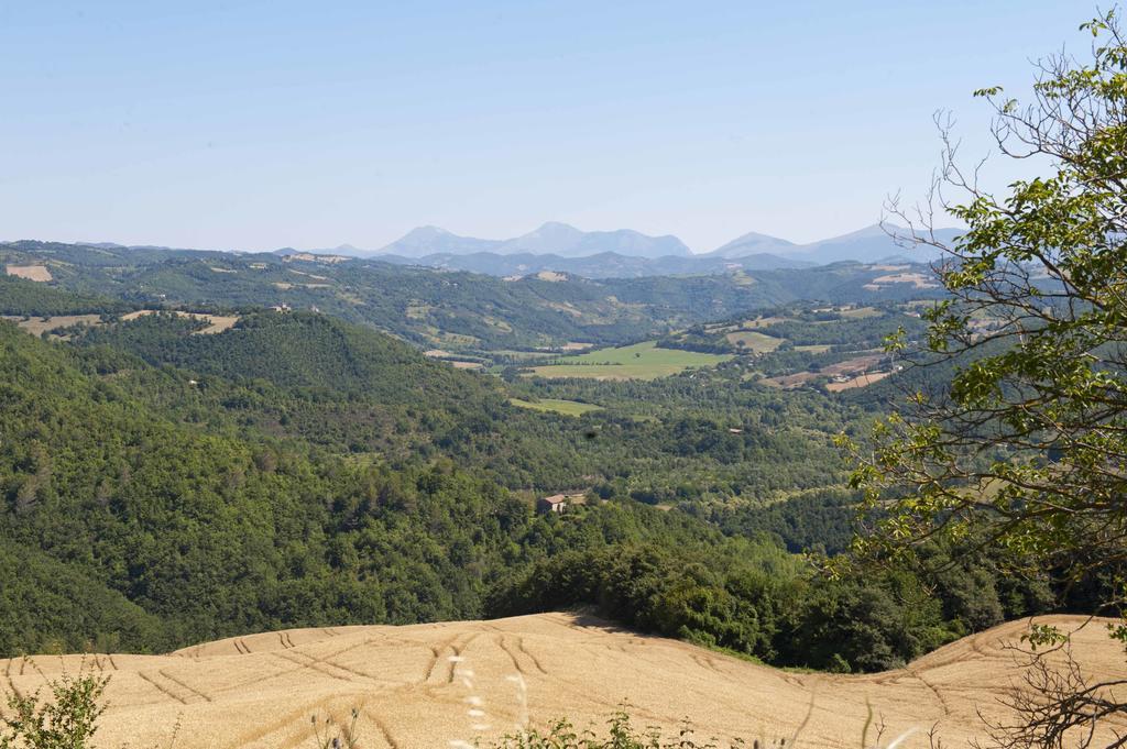 Agriturismo Tenuta Di Biscina Eksteriør bilde