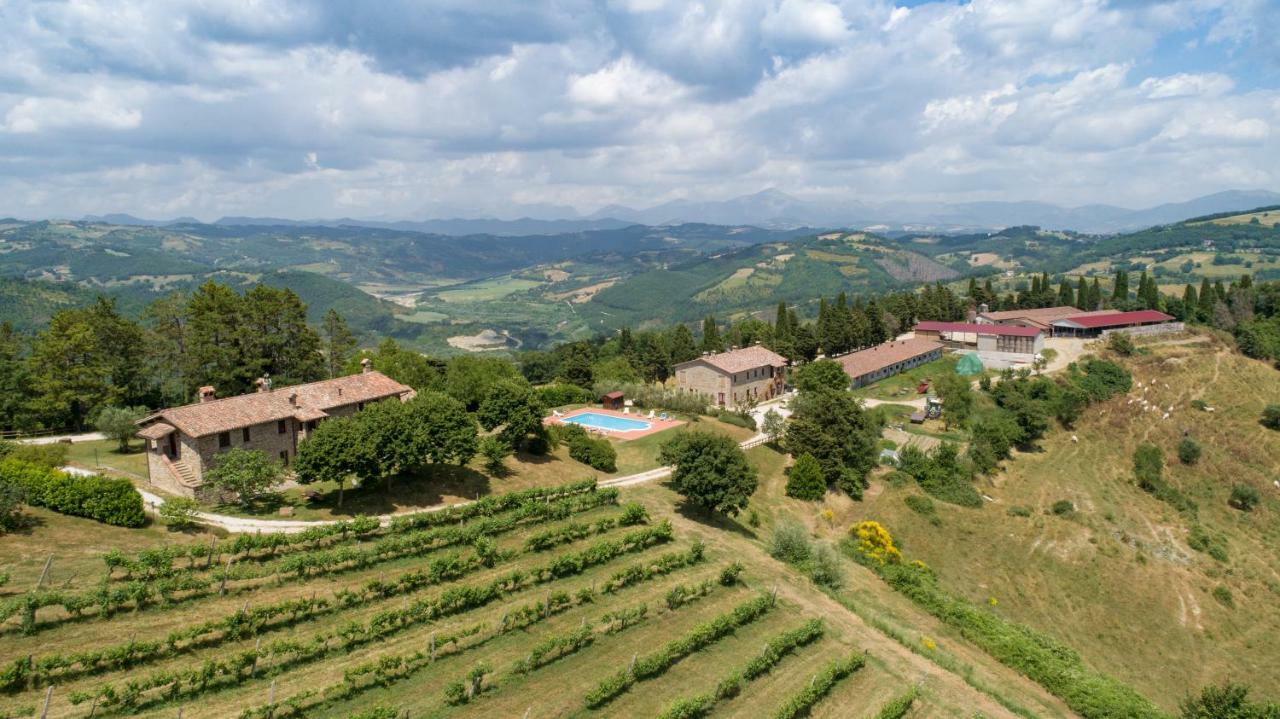 Agriturismo Tenuta Di Biscina Eksteriør bilde